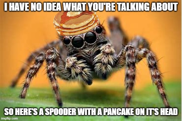 Pancake |  I HAVE NO IDEA WHAT YOU'RE TALKING ABOUT; SO HERE'S A SPOODER WITH A PANCAKE ON IT'S HEAD | image tagged in spiders,pancakes,memes,insects,mildlyfunny | made w/ Imgflip meme maker