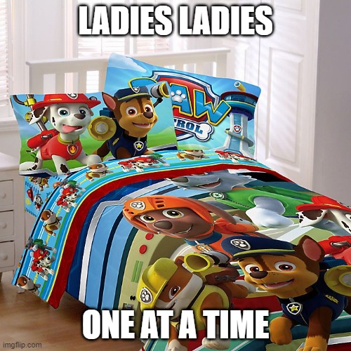 Ladies Ladies One at a time | LADIES LADIES; ONE AT A TIME | image tagged in paw patrol,funny | made w/ Imgflip meme maker