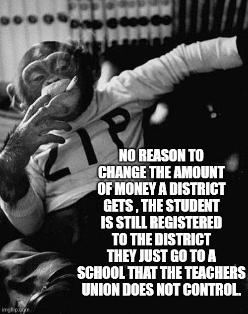 Zip the Smoking Chimp | NO REASON TO CHANGE THE AMOUNT OF MONEY A DISTRICT GETS , THE STUDENT IS STILL REGISTERED TO THE DISTRICT THEY JUST GO TO A SCHOOL THAT THE  | image tagged in zip the smoking chimp | made w/ Imgflip meme maker