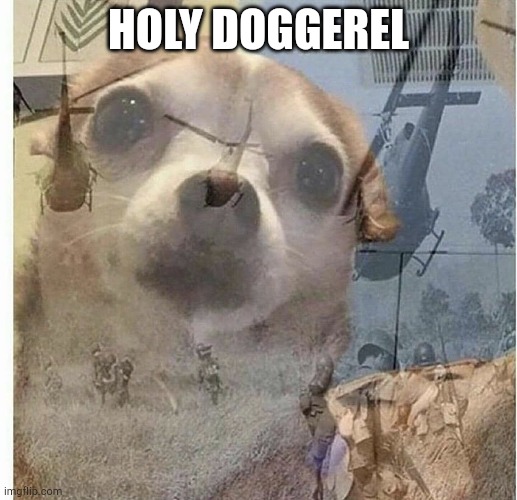 PTSD Chihuahua | HOLY DOGGEREL | image tagged in ptsd chihuahua | made w/ Imgflip meme maker