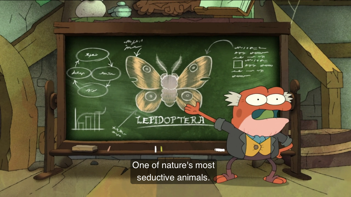 One of nature's most seductive animals Blank Meme Template