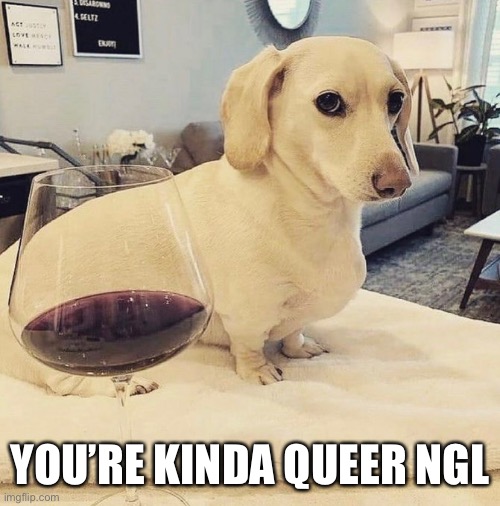 Homophobic dog |  YOU’RE KINDA QUEER NGL | image tagged in funny,memes,dark | made w/ Imgflip meme maker