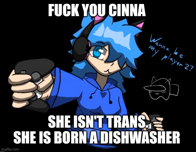 Catgirl poke (pokette) | FUCK YOU CINNA; SHE ISN'T TRANS. SHE IS BORN A DISHWASHER | image tagged in catgirl poke | made w/ Imgflip meme maker