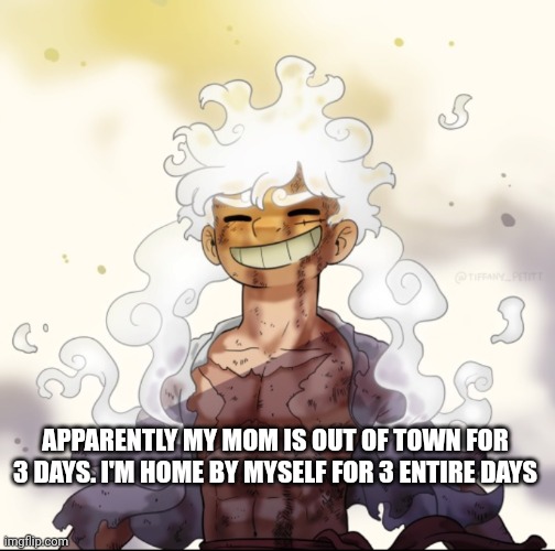 Still gotta do chores, and she has cameras everywhere minus in my room and bathroom, but still | APPARENTLY MY MOM IS OUT OF TOWN FOR 3 DAYS. I'M HOME BY MYSELF FOR 3 ENTIRE DAYS | image tagged in e | made w/ Imgflip meme maker