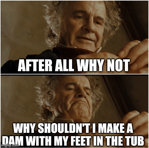 Who makes a dam in the bathtub | AFTER ALL WHY NOT; WHY SHOULDN'T I MAKE A DAM WITH MY FEET IN THE TUB | image tagged in bilbo - why shouldn t i keep it,memes,funny,childhood | made w/ Imgflip meme maker