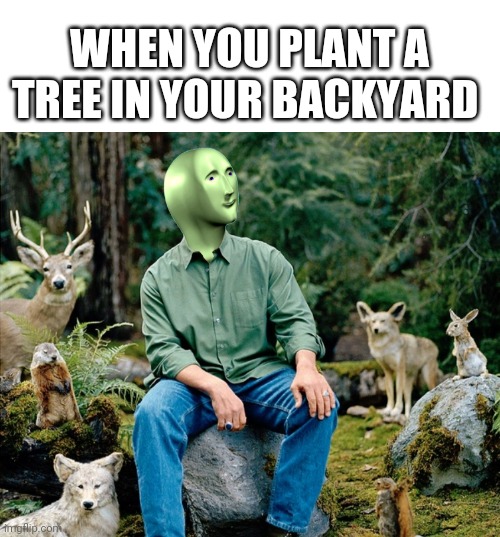 Let there be life | WHEN YOU PLANT A TREE IN YOUR BACKYARD | image tagged in blank white template,ekolojist | made w/ Imgflip meme maker