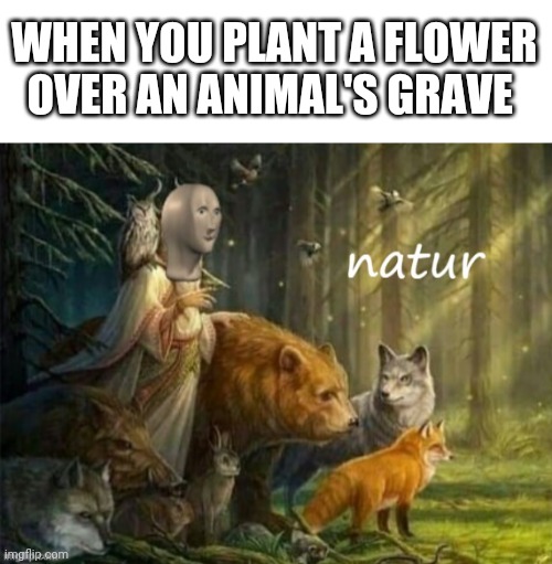 This one is more wholesome than the rest | WHEN YOU PLANT A FLOWER OVER AN ANIMAL'S GRAVE | image tagged in blank white template,meme man natur | made w/ Imgflip meme maker