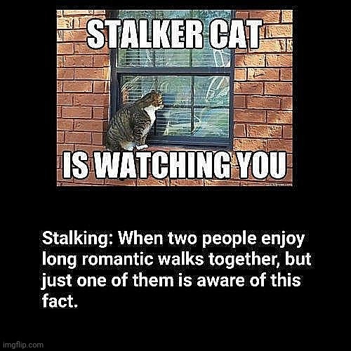 Stalker | image tagged in stalker,obsession,watching | made w/ Imgflip meme maker