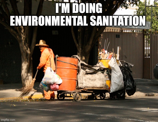 sweeper environmental engineer | I'M DOING ENVIRONMENTAL SANITATION | image tagged in sweeper environmental engineer | made w/ Imgflip meme maker