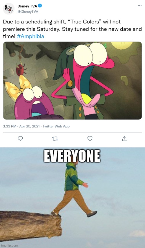 EVERYONE | image tagged in walking off cliff,amphibia | made w/ Imgflip meme maker