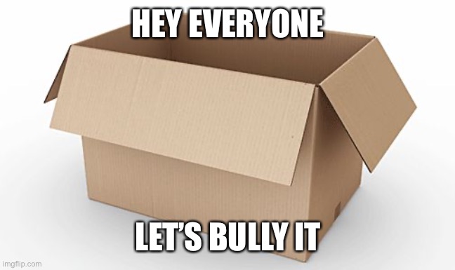Bully the cardboard box | HEY EVERYONE; LET’S BULLY IT | image tagged in empty cardboard box | made w/ Imgflip meme maker