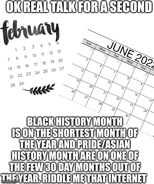 I need to talk to who ever made this a thing | OK REAL TALK FOR A SECOND; BLACK HISTORY MONTH IS ON THE SHORTEST MONTH OF THE YEAR AND PRIDE/ASIAN HISTORY MONTH ARE ON ONE OF THE FEW 30 DAY MONTHS OUT OF THE YEAR. RIDDLE ME THAT INTERNET | image tagged in white rectangle | made w/ Imgflip meme maker