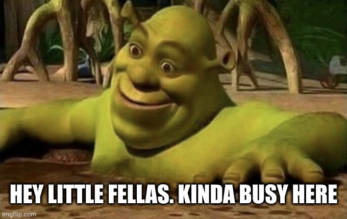 Shocked Shrek | HEY LITTLE FELLAS. KINDA BUSY HERE | image tagged in shocked shrek | made w/ Imgflip meme maker