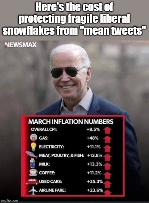 And it's only going to get worse.  This is intentional, and only a fool votes for a Democrat. |  Here's the cost of protecting fragile liberal snowflakes from "mean tweets" | image tagged in democrats,stupid liberals,election fraud,inflation,insane | made w/ Imgflip meme maker
