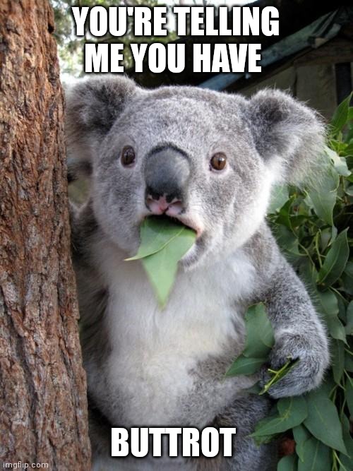 Surprised Koala | YOU'RE TELLING ME YOU HAVE; BUTTROT | image tagged in memes,surprised koala | made w/ Imgflip meme maker