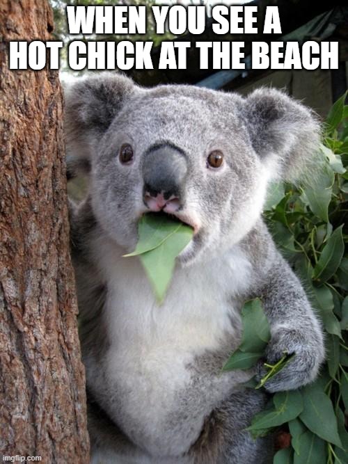 All straight men do this. | WHEN YOU SEE A HOT CHICK AT THE BEACH | image tagged in memes,surprised koala,summertime,day at the beach,funny memes,staring | made w/ Imgflip meme maker