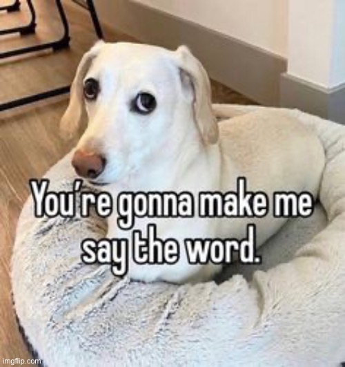 don’t make me say it when it’s gay month rn | made w/ Imgflip meme maker