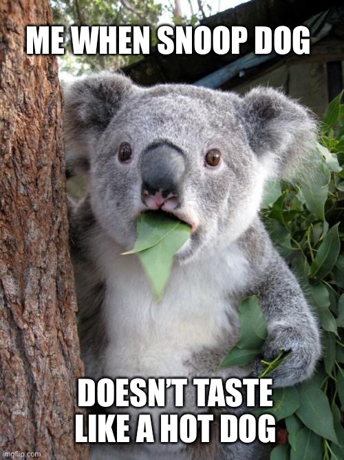 He didn’t taste good |  ME WHEN SNOOP DOG; DOESN’T TASTE LIKE A HOT DOG | image tagged in memes,surprised koala | made w/ Imgflip meme maker