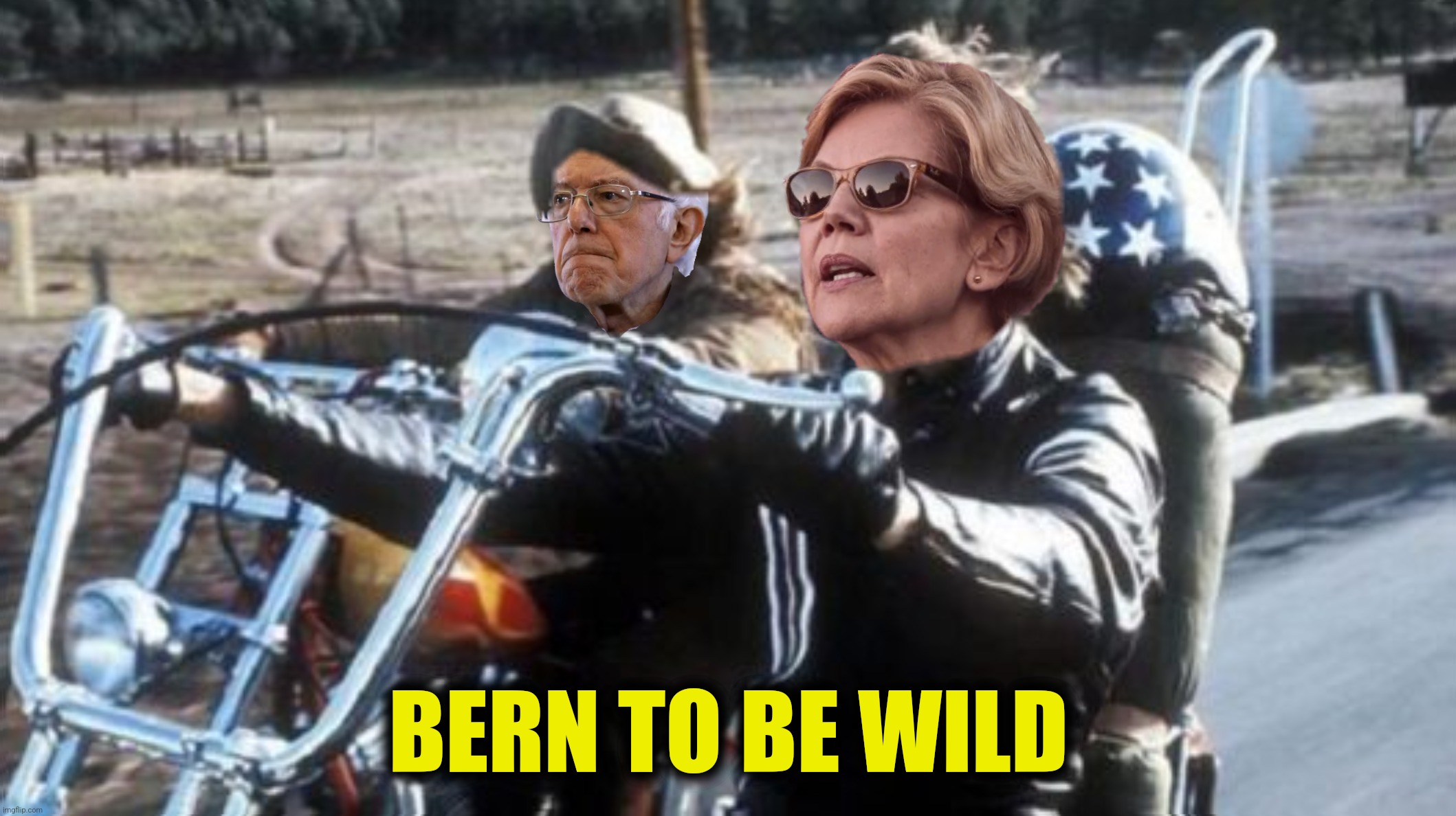 BERN TO BE WILD | made w/ Imgflip meme maker