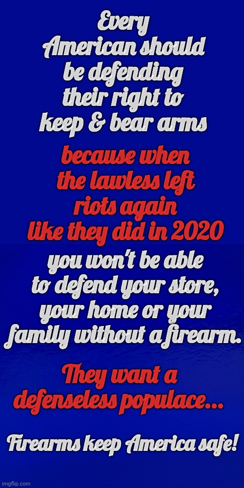They Want A Defenseless Populace |  Every American should be defending their right to keep & bear arms; because when the lawless left riots again like they did in 2020; you won't be able to defend your store, your home or your family without a firearm. They want a defenseless populace... Firearms keep America safe! | made w/ Imgflip meme maker