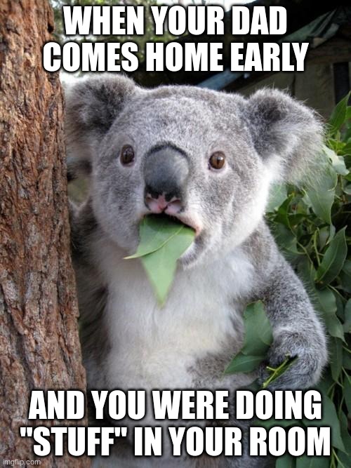 Fact |  WHEN YOUR DAD COMES HOME EARLY; AND YOU WERE DOING "STUFF" IN YOUR ROOM | image tagged in memes,surprised koala | made w/ Imgflip meme maker