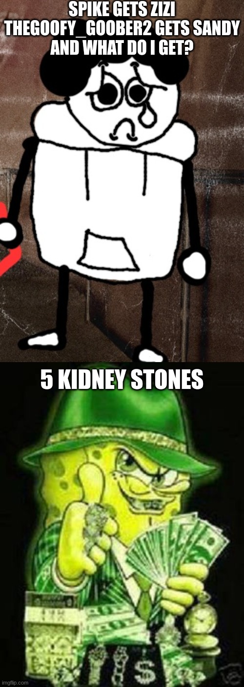 embrace kidney stone | SPIKE GETS ZIZI
THEGOOFY_GOOBER2 GETS SANDY
AND WHAT DO I GET? 5 KIDNEY STONES | made w/ Imgflip meme maker