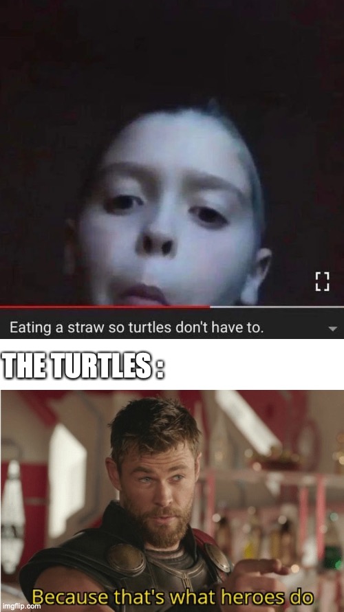 I might make some post here and there |  THE TURTLES : | image tagged in that s what heroes do,funny,memes,fun | made w/ Imgflip meme maker