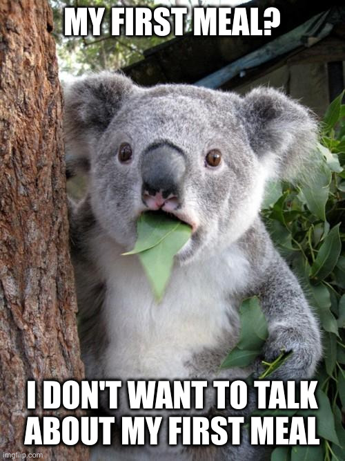 Fecal pap? Is that what you call your shitty dad? | MY FIRST MEAL? I DON'T WANT TO TALK
ABOUT MY FIRST MEAL | image tagged in memes,surprised koala | made w/ Imgflip meme maker