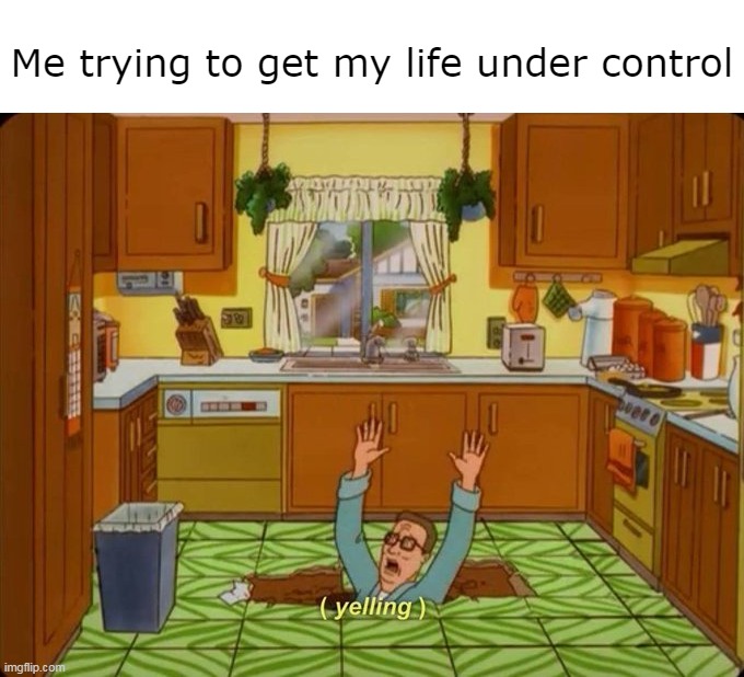 Me trying to get my life under control | image tagged in meme,memes,humor,relatable | made w/ Imgflip meme maker