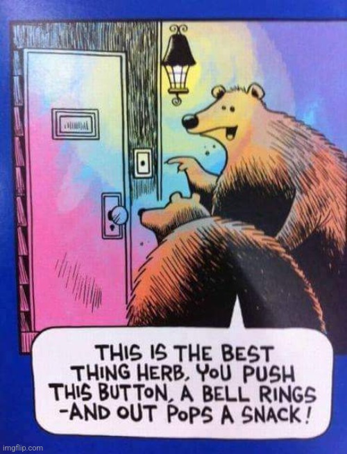Trick or treat for bears | image tagged in bear,trick or treat,funny,comics/cartoons | made w/ Imgflip meme maker
