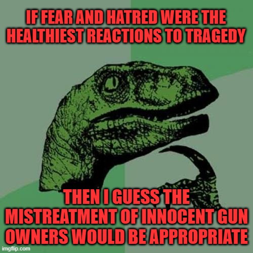 Gun Control is not a result of rational thought but of fear and hatred | IF FEAR AND HATRED WERE THE HEALTHIEST REACTIONS TO TRAGEDY; THEN I GUESS THE MISTREATMENT OF INNOCENT GUN OWNERS WOULD BE APPROPRIATE | image tagged in 2a,gun control,rkba | made w/ Imgflip meme maker