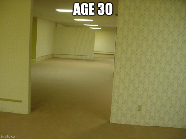 The Backrooms | AGE 30 | image tagged in the backrooms | made w/ Imgflip meme maker