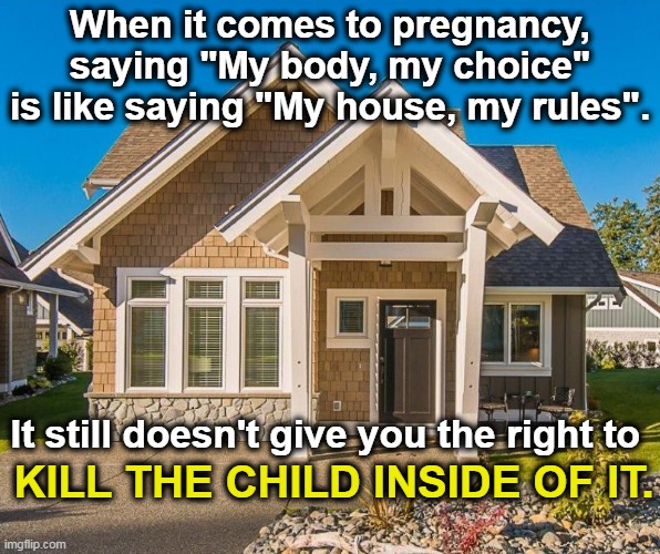 Someone please tell the liberals where human beings come from. | When it comes to pregnancy, saying "My body, my choice" is like saying "My house, my rules". It still doesn't give you the right to; KILL THE CHILD INSIDE OF IT. | image tagged in biology,science,abortion is murder,evil | made w/ Imgflip meme maker