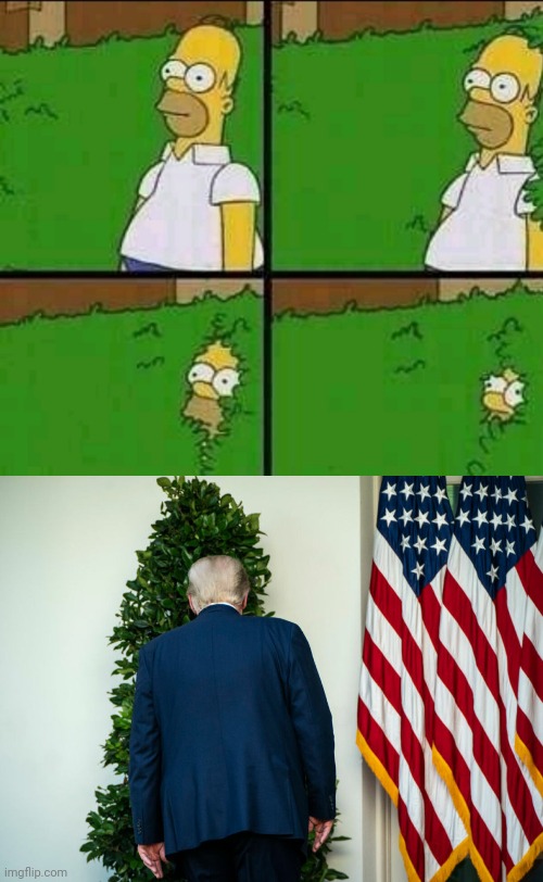 image tagged in homer simpson,donald trump | made w/ Imgflip meme maker