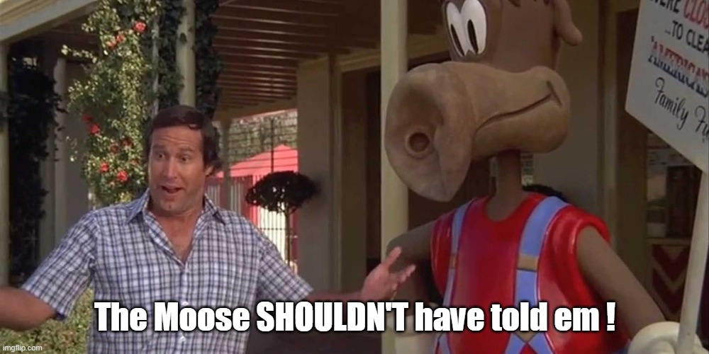 The Moose SHOULDN'T have told em ! | made w/ Imgflip meme maker