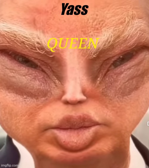 Idk is this how girls simp and stuff? Idfk | Yass; QUEEN | image tagged in donald trump be lookin' sweet | made w/ Imgflip meme maker