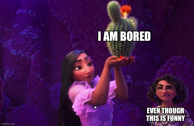 Mirabel and Isabella | . I AM BORED EVEN THOUGH THIS IS FUNNY | image tagged in mirabel and isabella | made w/ Imgflip meme maker