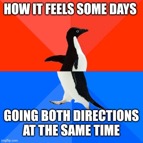 Socially Awesome Awkward Penguin |  HOW IT FEELS SOME DAYS; GOING BOTH DIRECTIONS AT THE SAME TIME | image tagged in memes,socially awesome awkward penguin | made w/ Imgflip meme maker