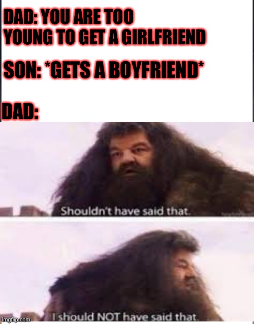 Nice one dad |  DAD: YOU ARE TOO YOUNG TO GET A GIRLFRIEND; SON: *GETS A BOYFRIEND*; DAD: | image tagged in memes,meme,funny,mistake,harry potter | made w/ Imgflip meme maker