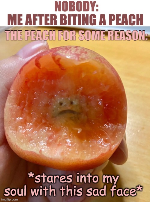 STOP STARING AT ME >:( | NOBODY:; THE PEACH FOR SOME REASON:; ME AFTER BITING A PEACH; *stares into my soul with this sad face* | image tagged in sad peach,stares into soul casualy,stop reading the tags,lol | made w/ Imgflip meme maker