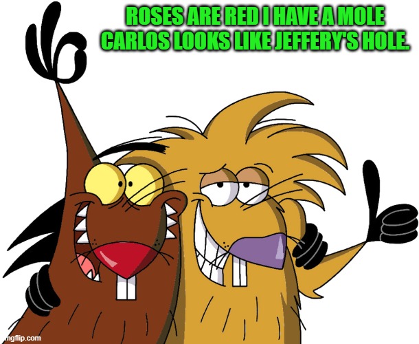 Beavers | ROSES ARE RED I HAVE A MOLE CARLOS LOOKS LIKE JEFFERY'S HOLE. | image tagged in beavers | made w/ Imgflip meme maker
