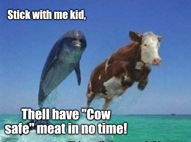 Surf and turf | Stick with me kid, Thell have "Cow safe" meat in no time! | image tagged in dolphin,safe,tuna,swimming,cows,where's the beef | made w/ Imgflip meme maker