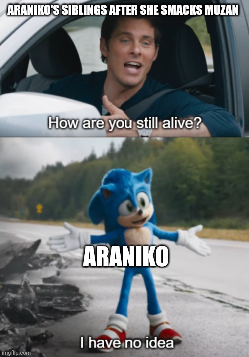 Yep. | ARANIKO'S SIBLINGS AFTER SHE SMACKS MUZAN; ARANIKO | image tagged in sonic how are you still alive | made w/ Imgflip meme maker