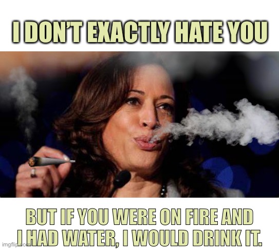 Kamala Harris | I DON’T EXACTLY HATE YOU; BUT IF YOU WERE ON FIRE AND I HAD WATER, I WOULD DRINK IT. | image tagged in kamala harris stoned,i do not hate,on fire,water,drink it | made w/ Imgflip meme maker