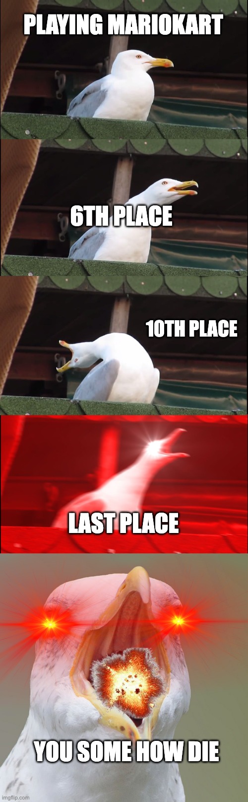 uhhh ok | PLAYING MARIOKART; 6TH PLACE; 10TH PLACE; LAST PLACE; YOU SOME HOW DIE | image tagged in memes,inhaling seagull | made w/ Imgflip meme maker