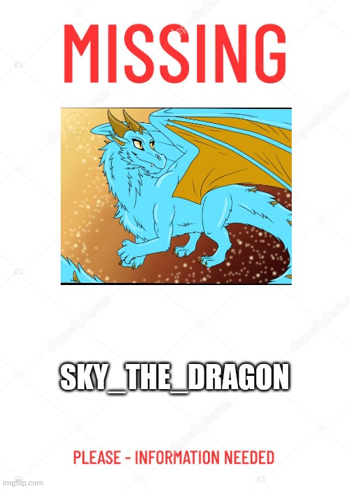 Missing Poster | SKY_THE_DRAGON | image tagged in missing poster | made w/ Imgflip meme maker
