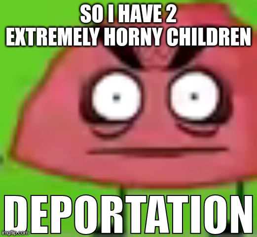 DEPORTATION | SO I HAVE 2 EXTREMELY HORNY CHILDREN | image tagged in deportation | made w/ Imgflip meme maker