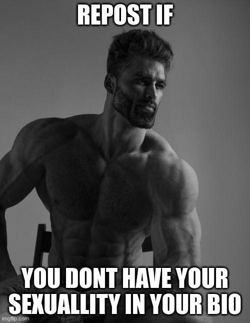Giga Chad | REPOST IF; YOU DONT HAVE YOUR SEXUALLITY IN YOUR BIO | image tagged in giga chad | made w/ Imgflip meme maker