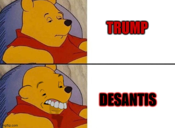 Finally Something Both Sides Can Agree On | TRUMP; DESANTIS | image tagged in winnie the pooh ok to worst | made w/ Imgflip meme maker