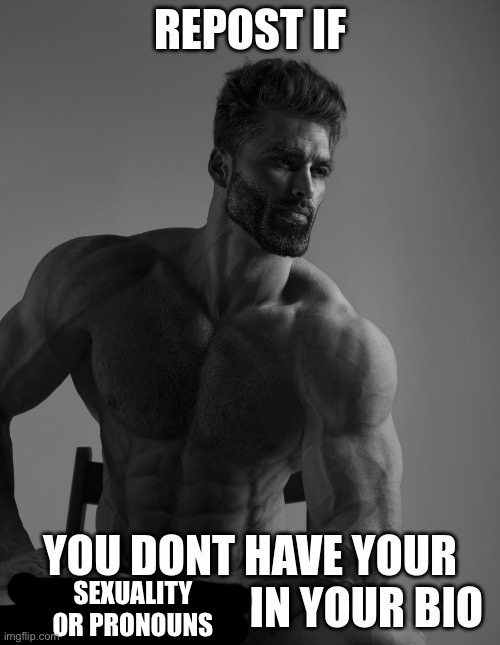 SEXUALITY OR PRONOUNS | made w/ Imgflip meme maker